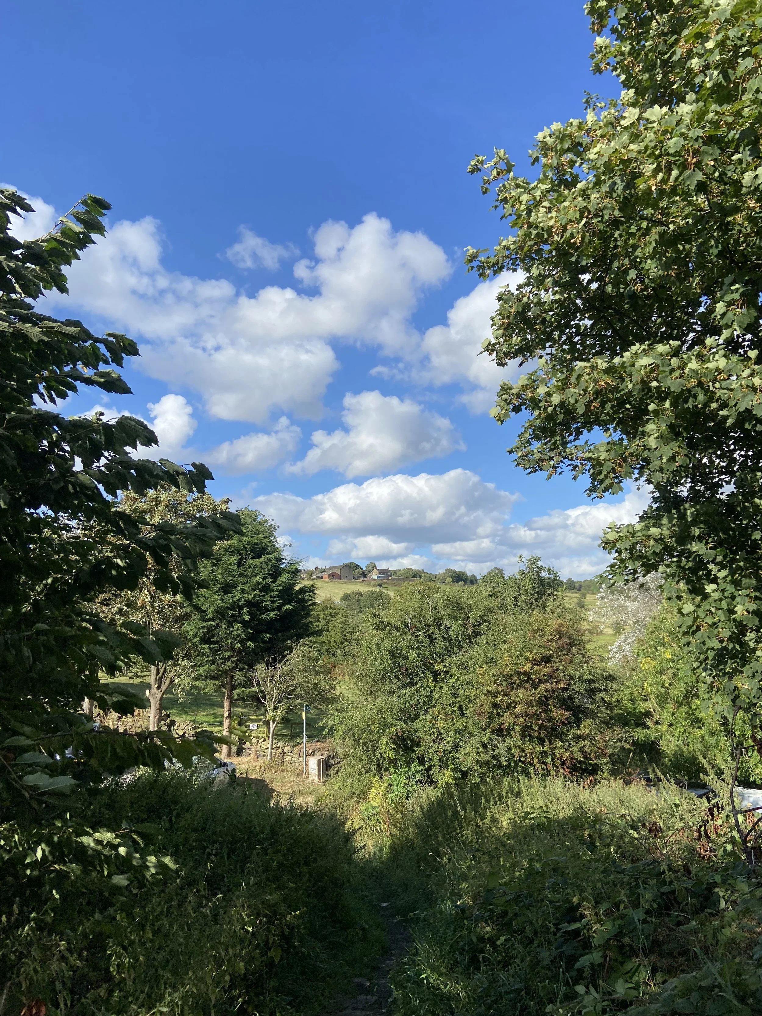 Every Landscape Is Also That Landscape.jpg