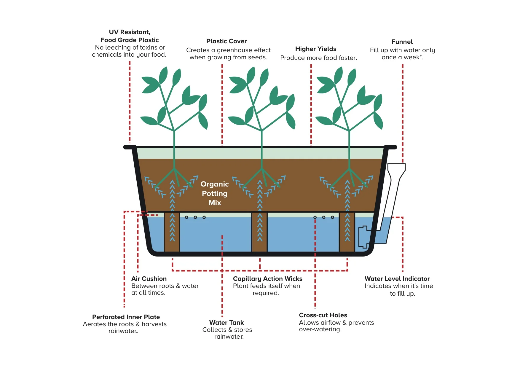 GreenSmart - Capillary Action.jpg