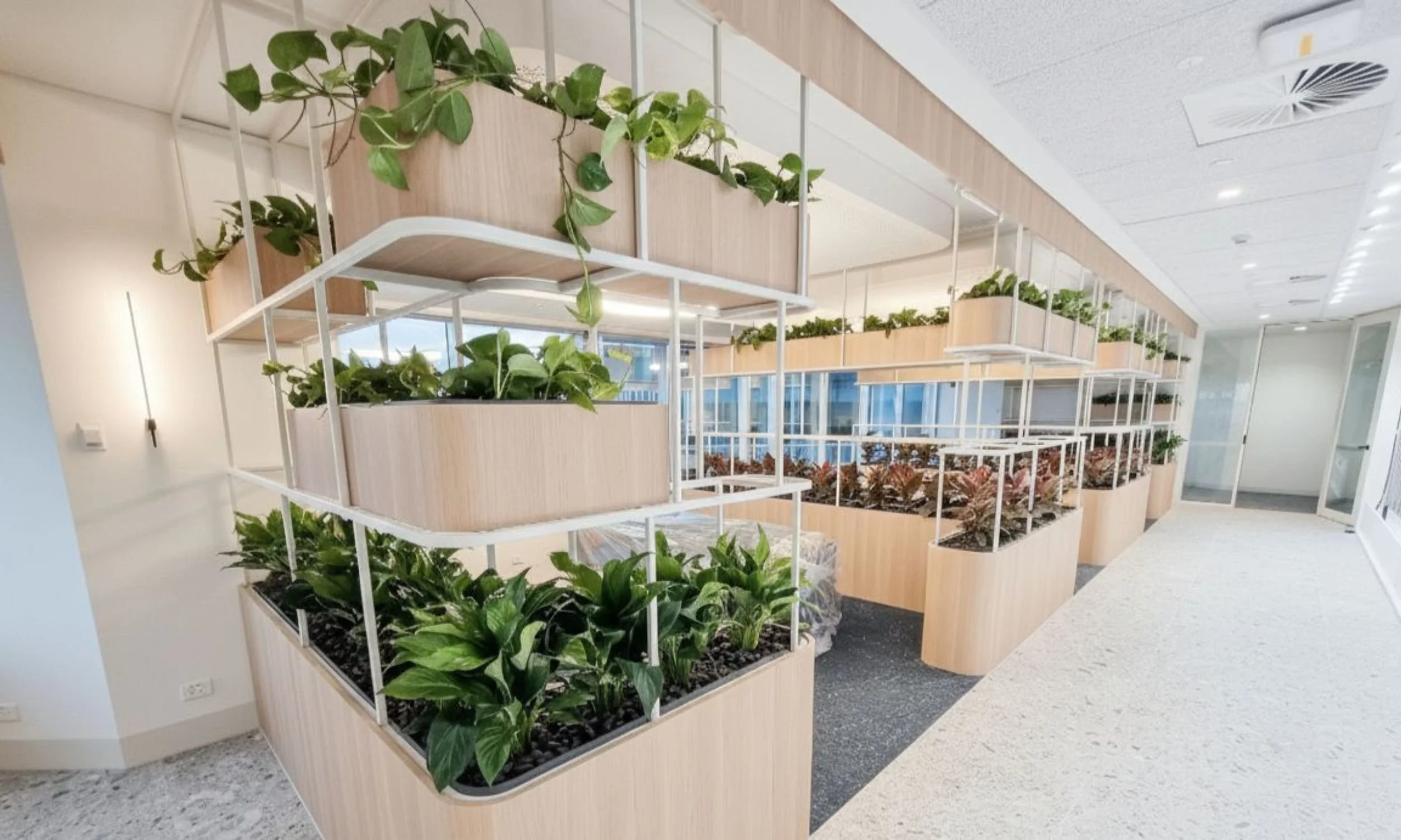 Indoor office space with multiple wooden planters containing green plants, separated by white metal framework, and large windows in the background.