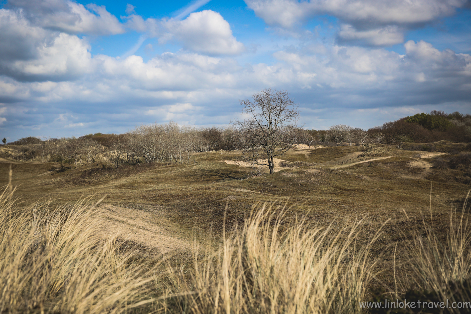 Waterleidingduinen