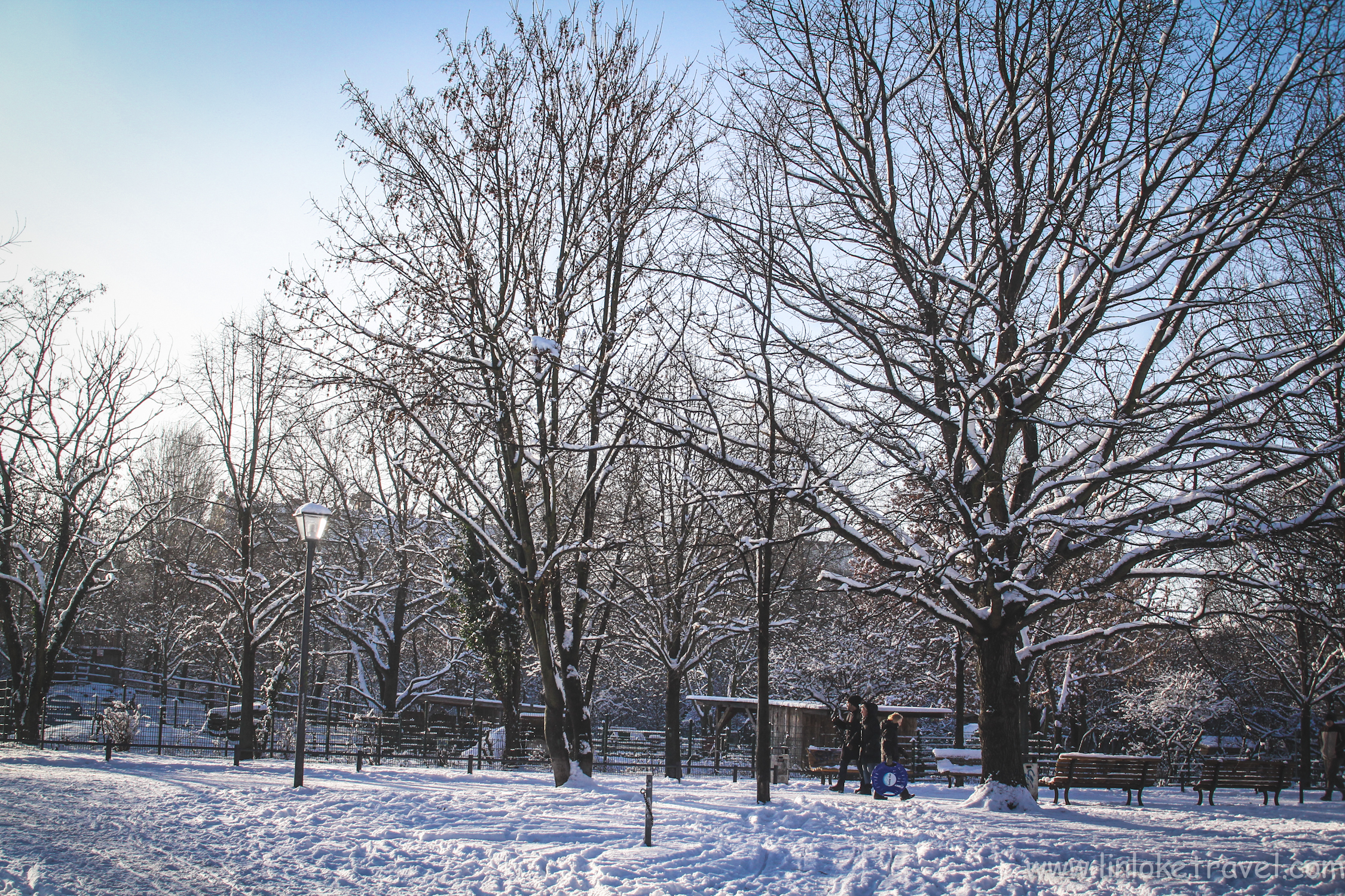 Gorlitzer Park in Winter