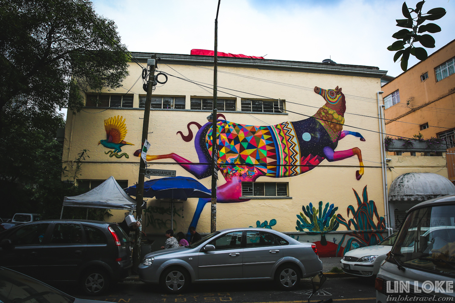 Street art in the Condesa/ Roma neighbourhood