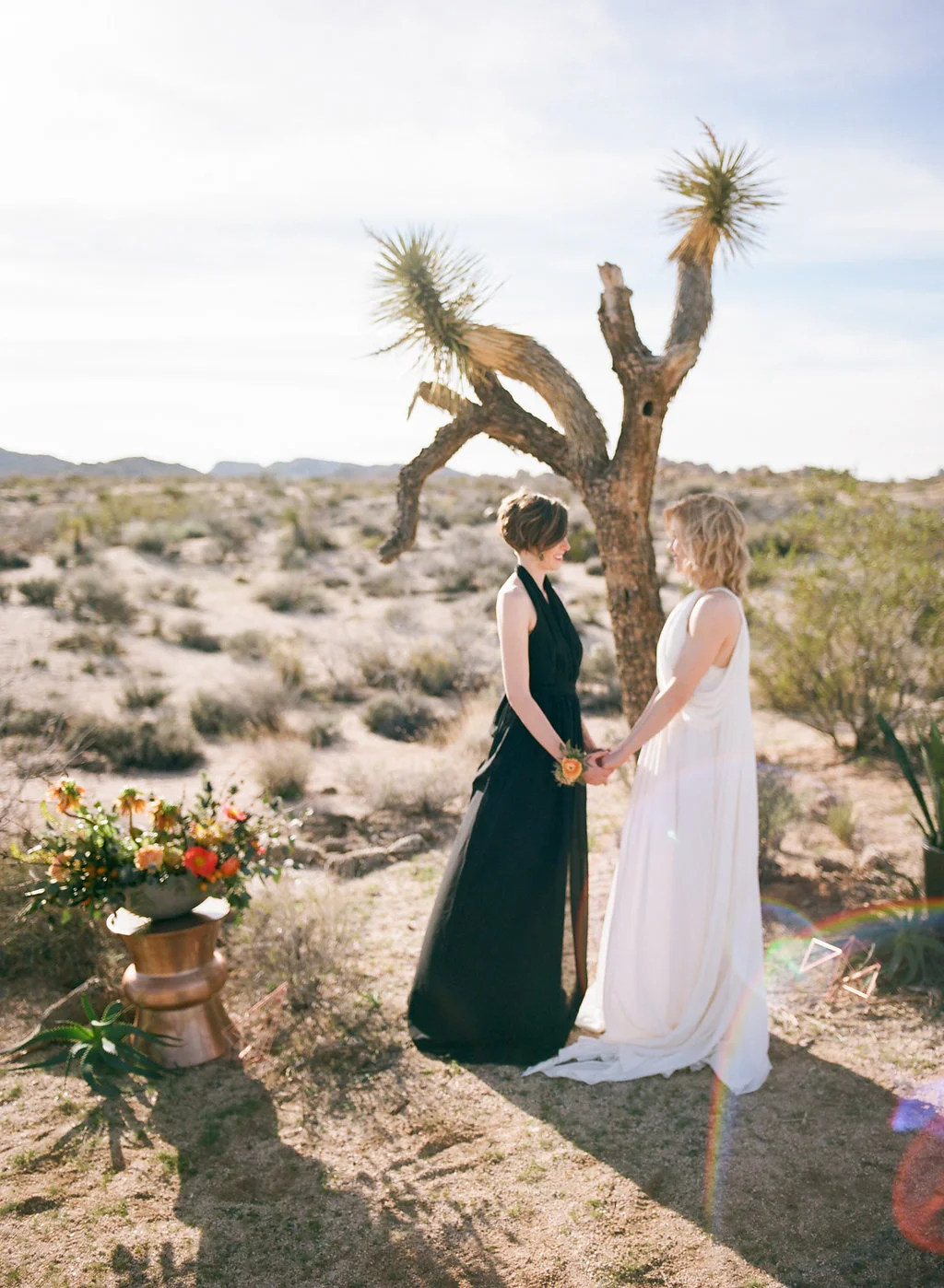 Jessica schilling wedding photography couple clasping hands in front of tree