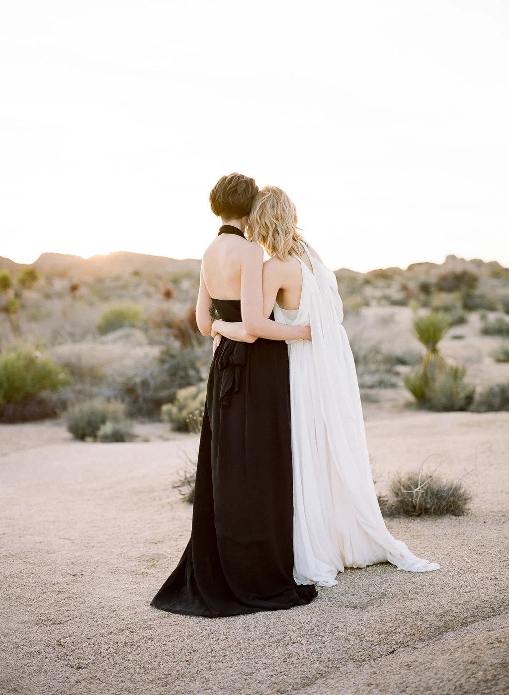 Jessica Schilling Wedding Photography couple admiring desert shot from behind