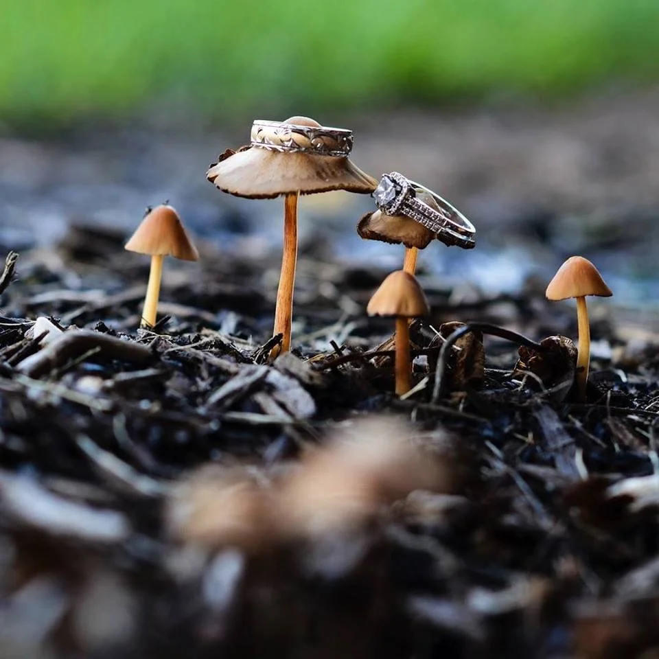 Photo by Pittelli Photography