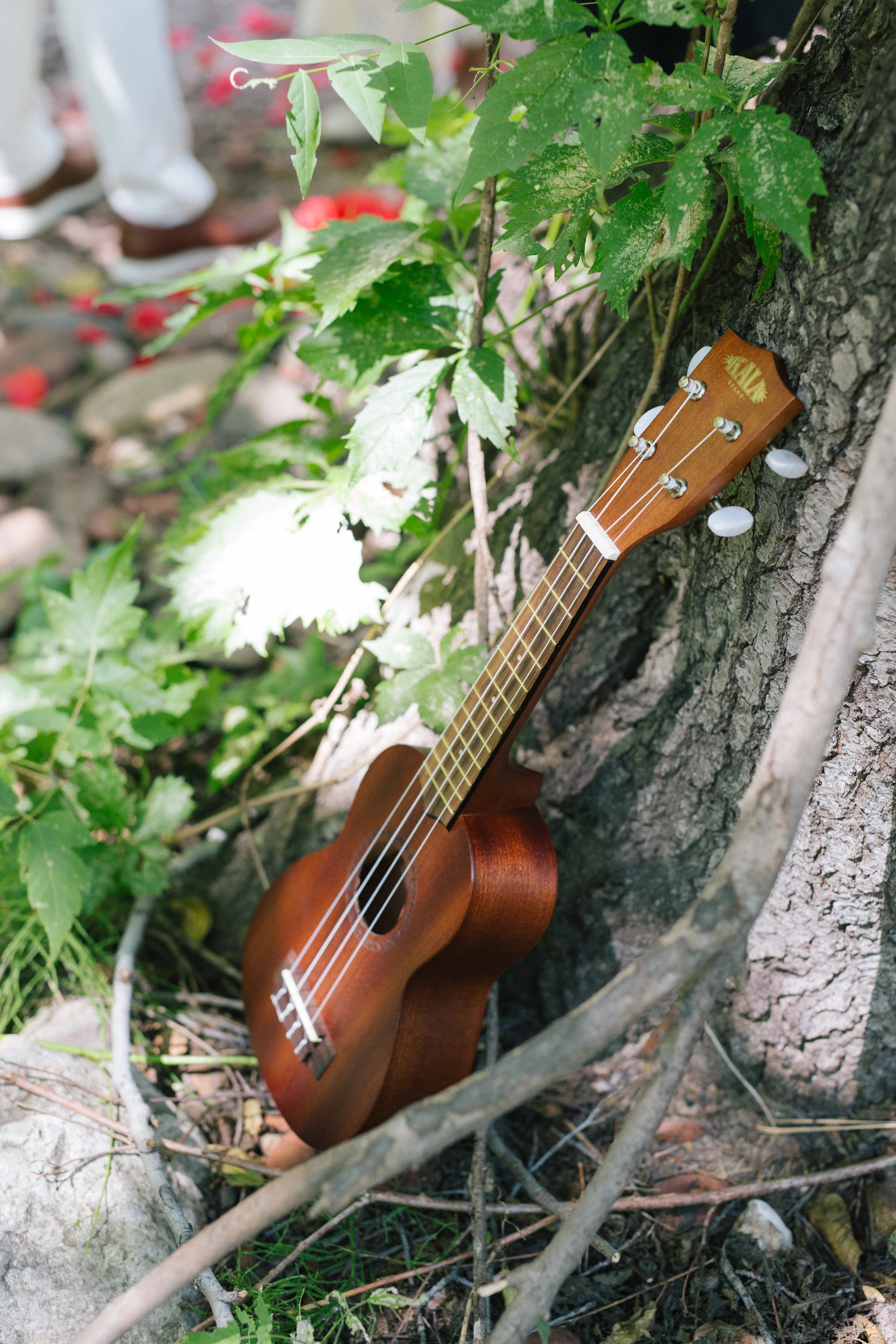 Alyssa Campbell Photography