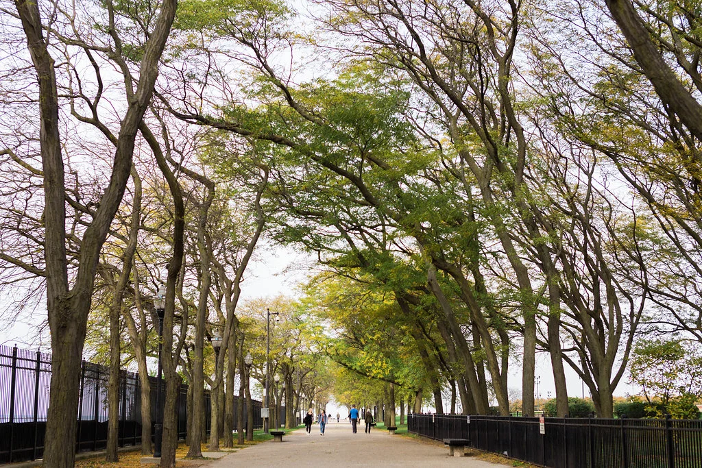 Ivan Fara wedding engagement proposal at Chicago Olive park by Jennifer Claire Photography