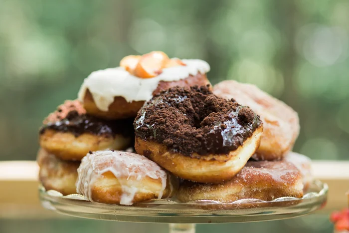 Treehouse Wedding Elopement Styled Shoot South Carolina Latoya Dixon
