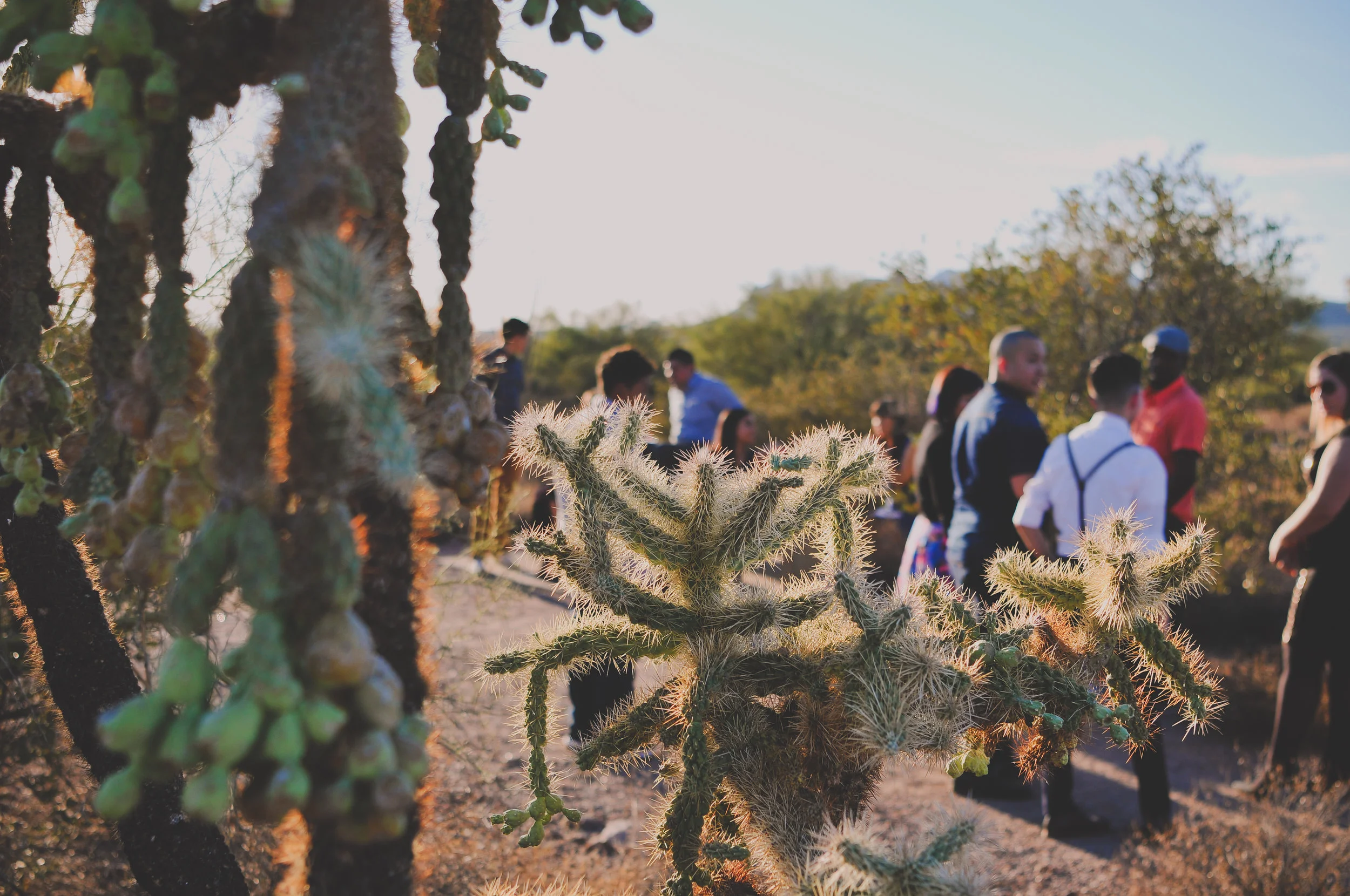 LGBTQ desert wedding in Phoenix Arizona by Photo De Urban