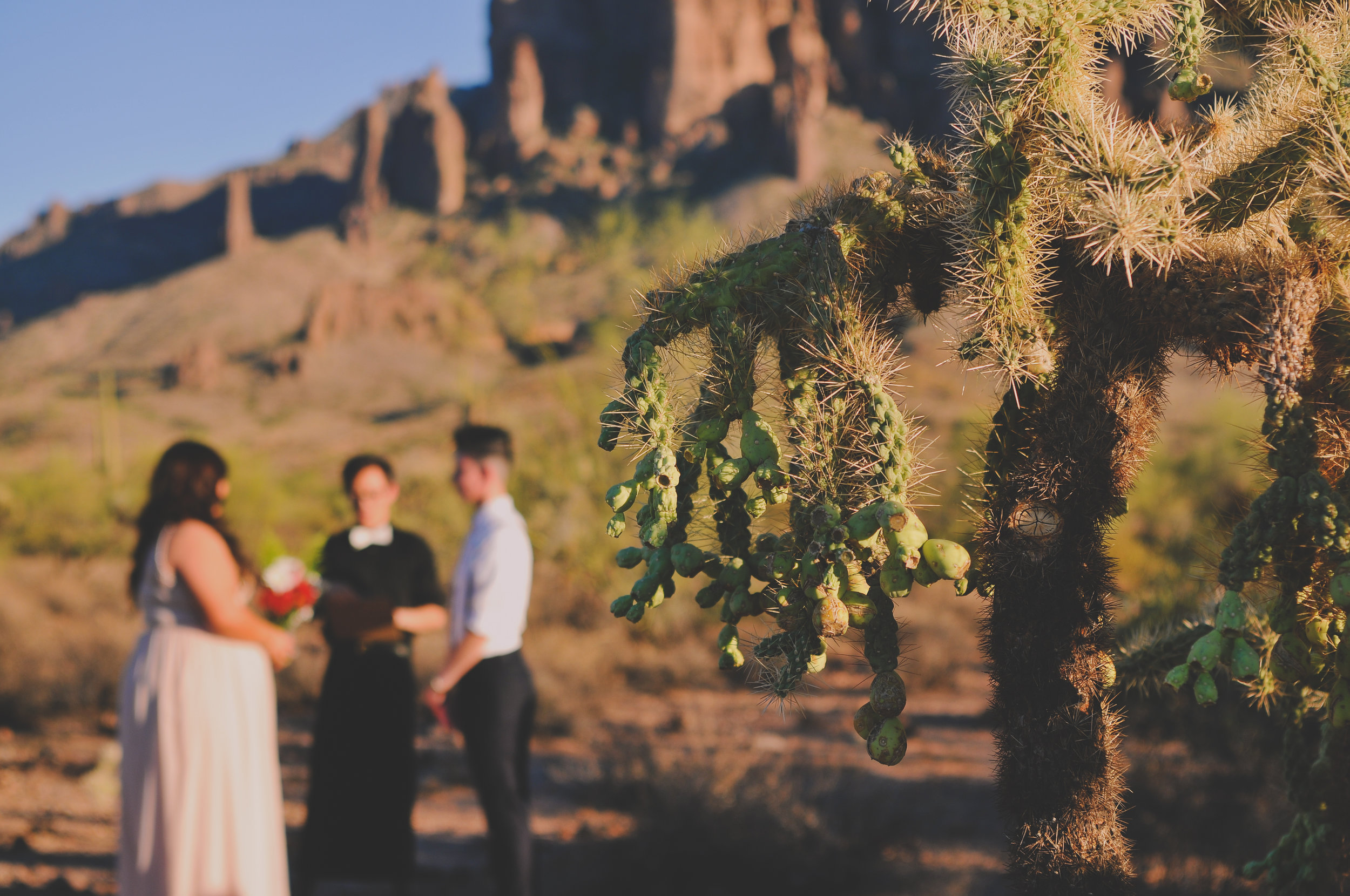 LGBTQ desert wedding in Phoenix Arizona by Photo De Urban