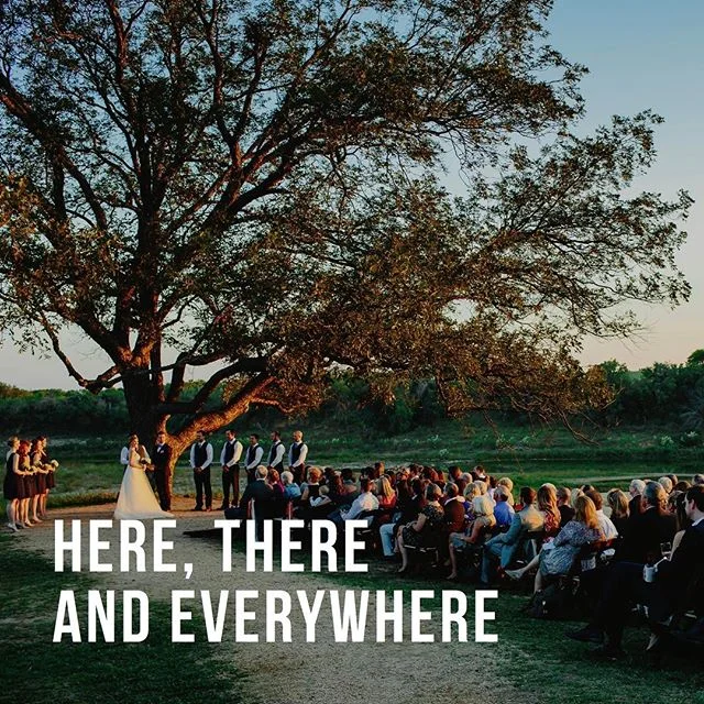 The Avowed Podcast // Episode 08: Here, There, and Everywhere