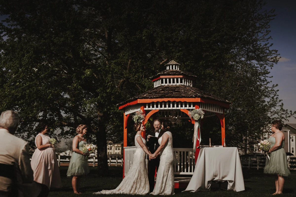 Brandi Potter LGBTQ Wedding