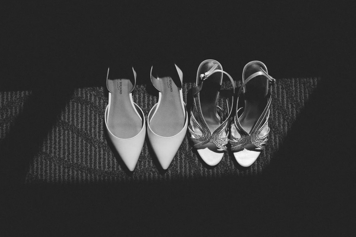 Brandi Potter LGBTQ Wedding