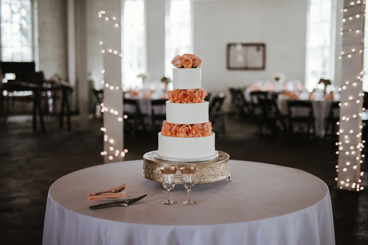 Brandi Potter LGBTQ Wedding