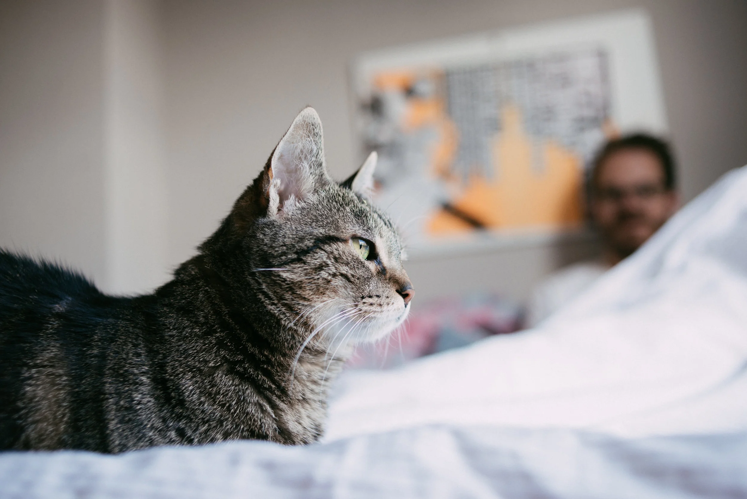Sara Lobla London engagement photography