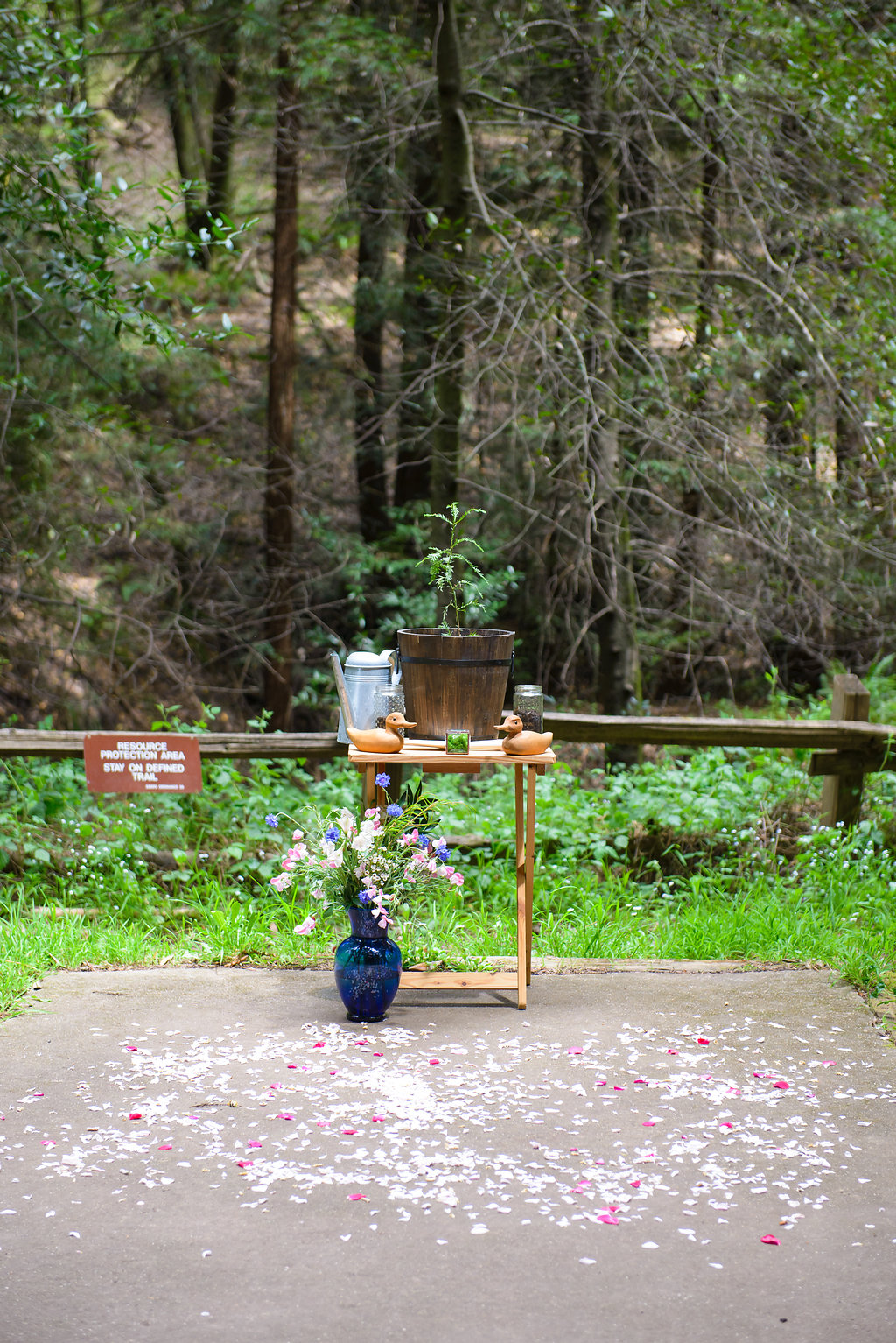 43rd Ave Photography Redwoods Wedding