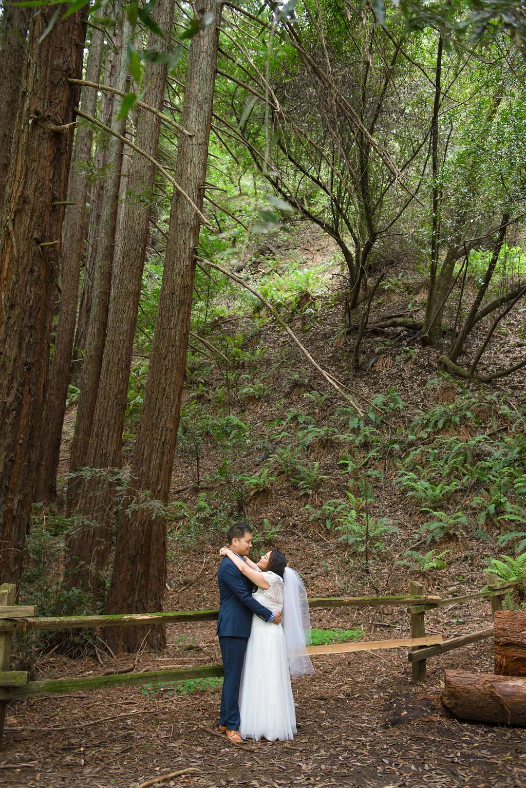 43rd Ave Photography Redwoods Wedding