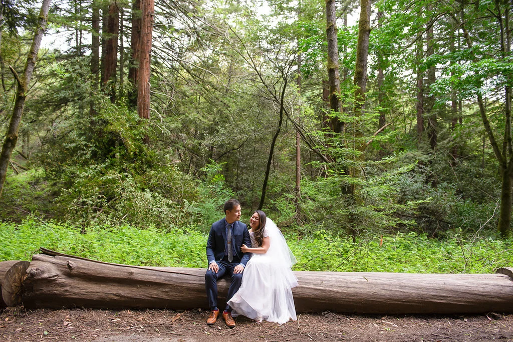 43rd Ave Photography Redwoods Wedding
