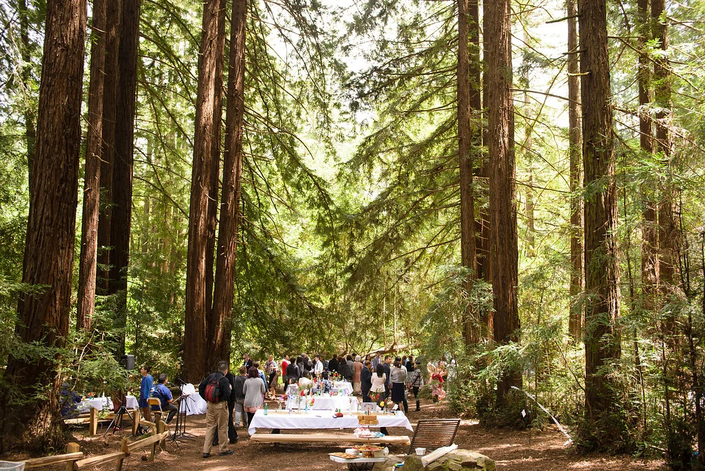 43rd Ave Photography Redwoods Wedding
