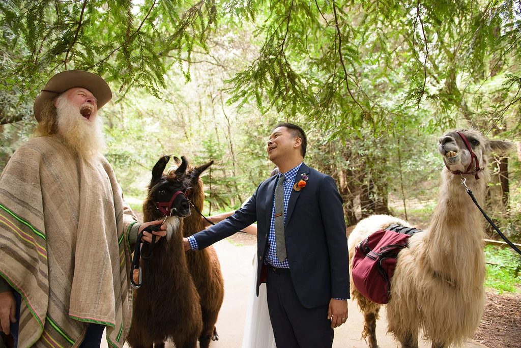 43rd Ave Photography Redwoods Wedding