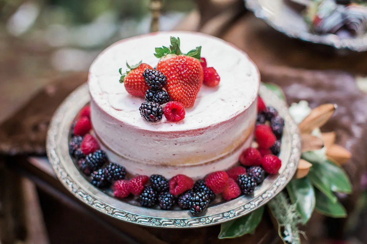 Just A Dash Cakes and Gina Neal Photography Native Winter Wedding