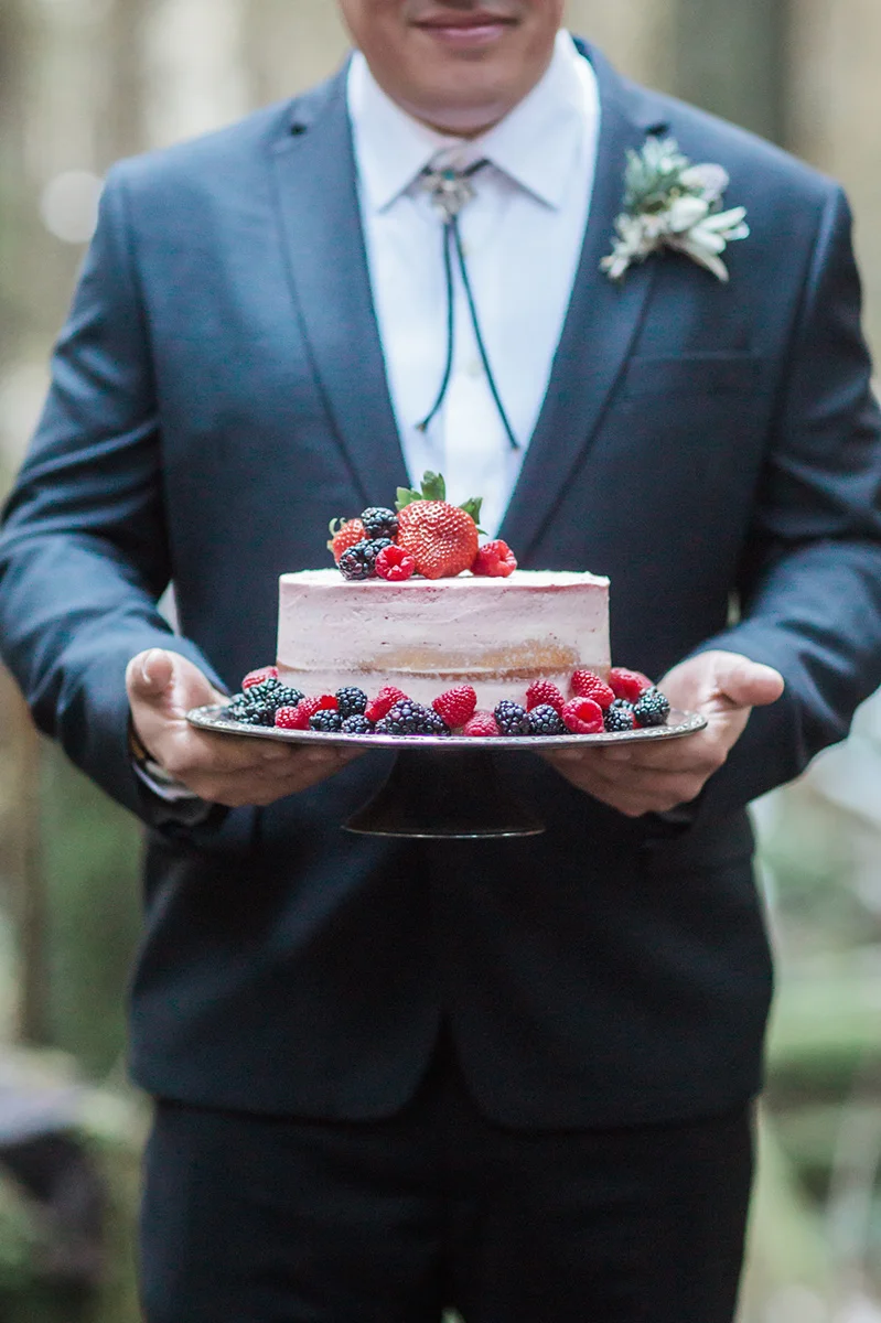 Just A Dash Cakes and Gina Neal Photography Native Winter Wedding