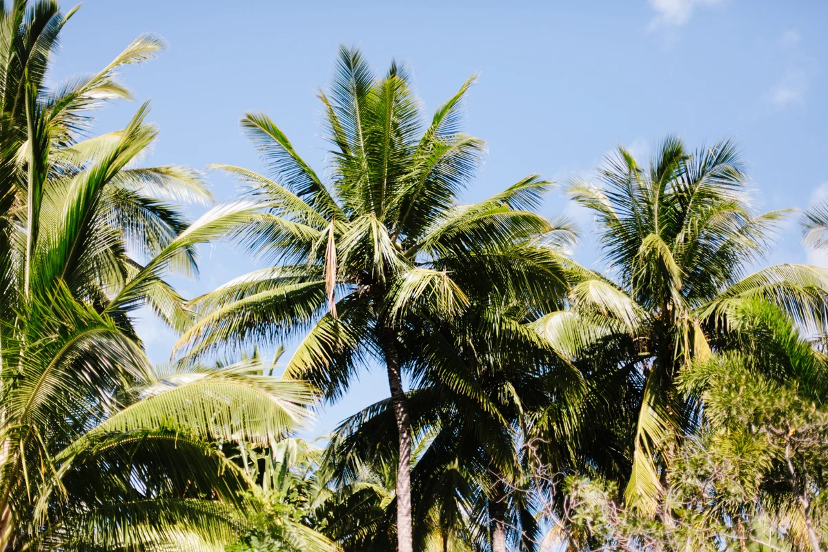 Hawaii destination wedding