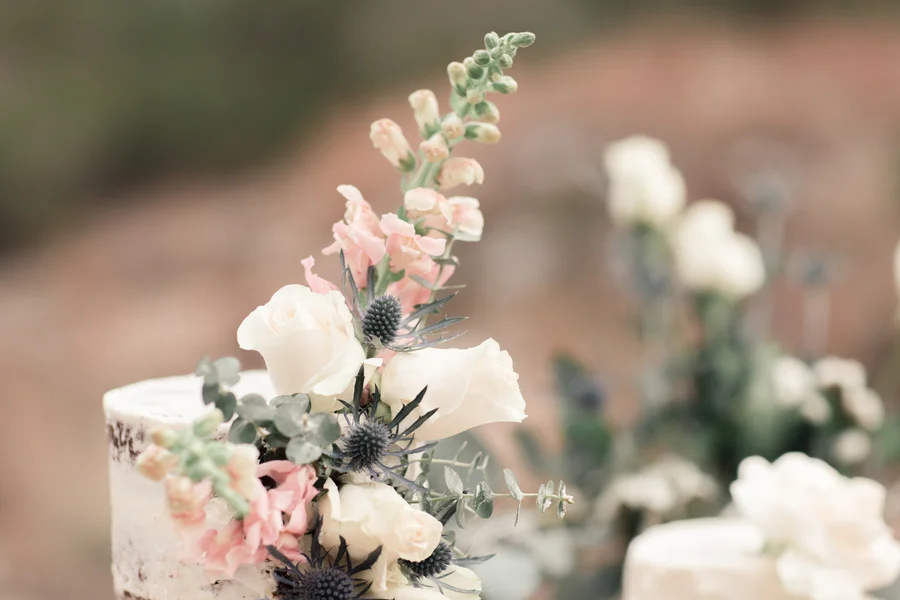 Houston Texas Glamping Wedded Weekend by Marni Wishart Photography