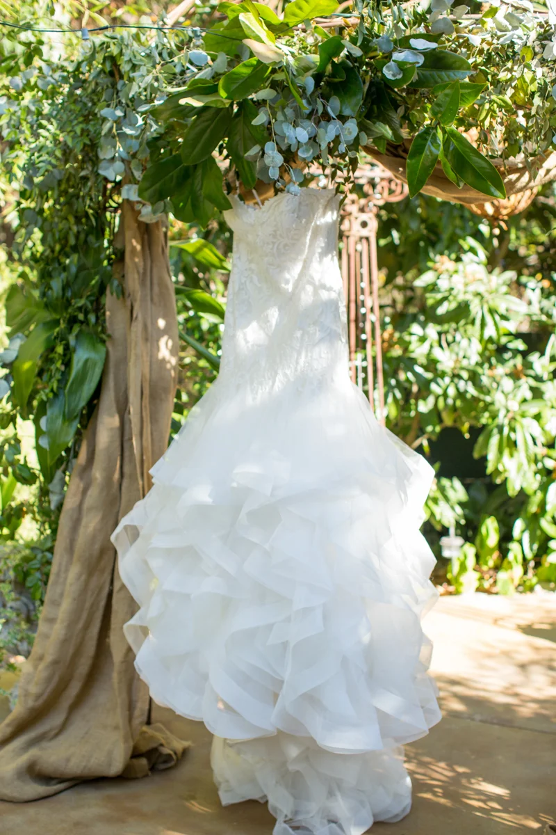 Wedding gown hanging in a tree in the sunshine