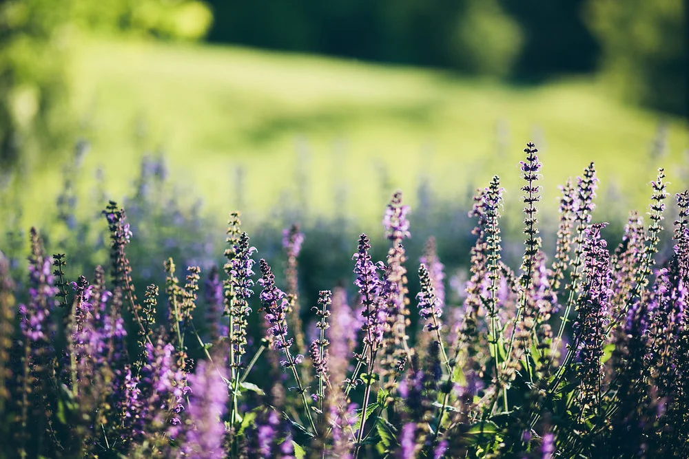 5 Self Care Tips for Feeling Your Best on Your Wedding Day