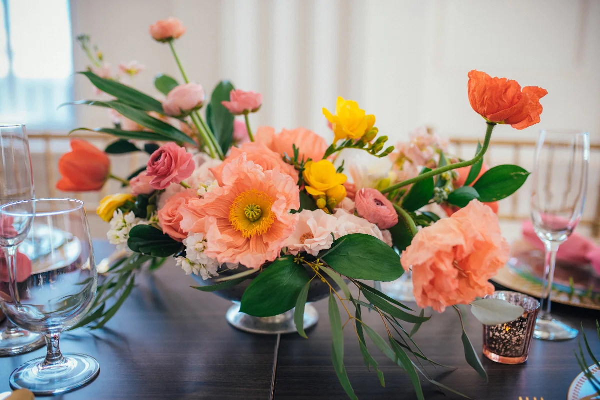 Three Region Photography