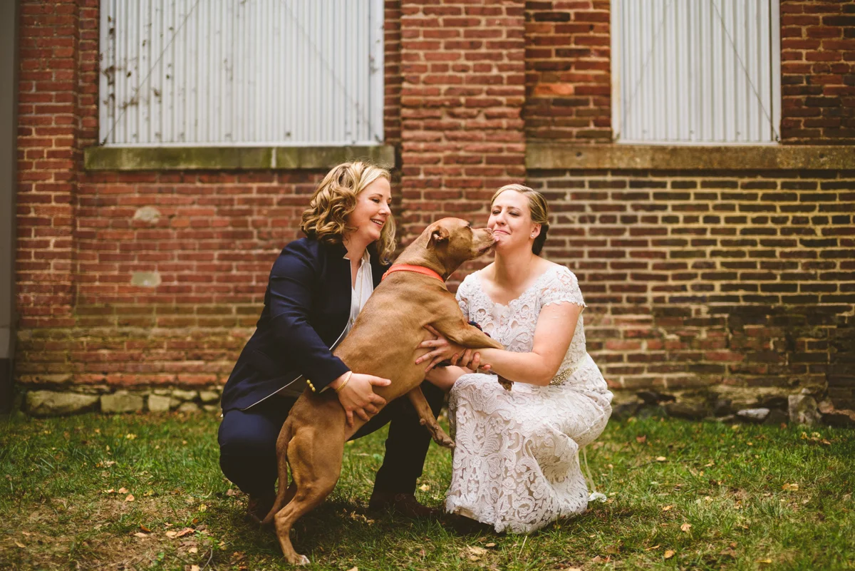 BALTIMORE WEDDING AT MOUNT WASHINGTON MILL DYE HOUSE COUPLE WITH LOVEY THE DOG, LOVEY LICKING MEG'S FACE