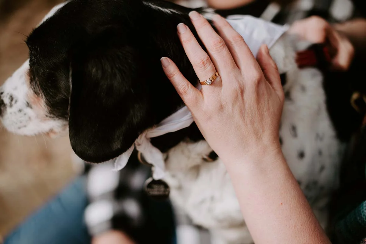 Emily and Ang Beach Wedding Engagement Session at Hoffmaster State Park on Lake Michigan by Liv Lyzsyk Photography