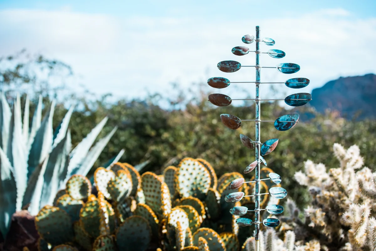 multi-cultural desert elopement decoration with cacti in background