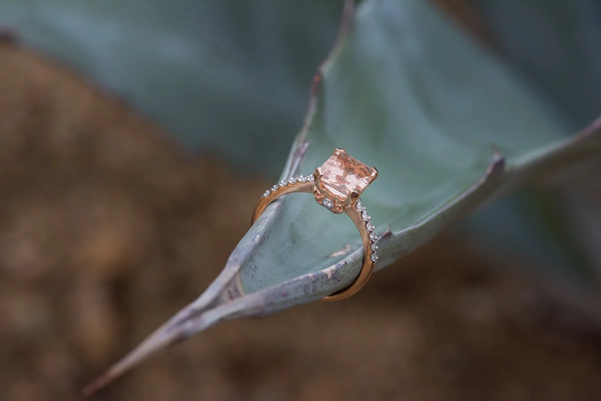 multi-cultural desert elopement ring on the end of a succulent