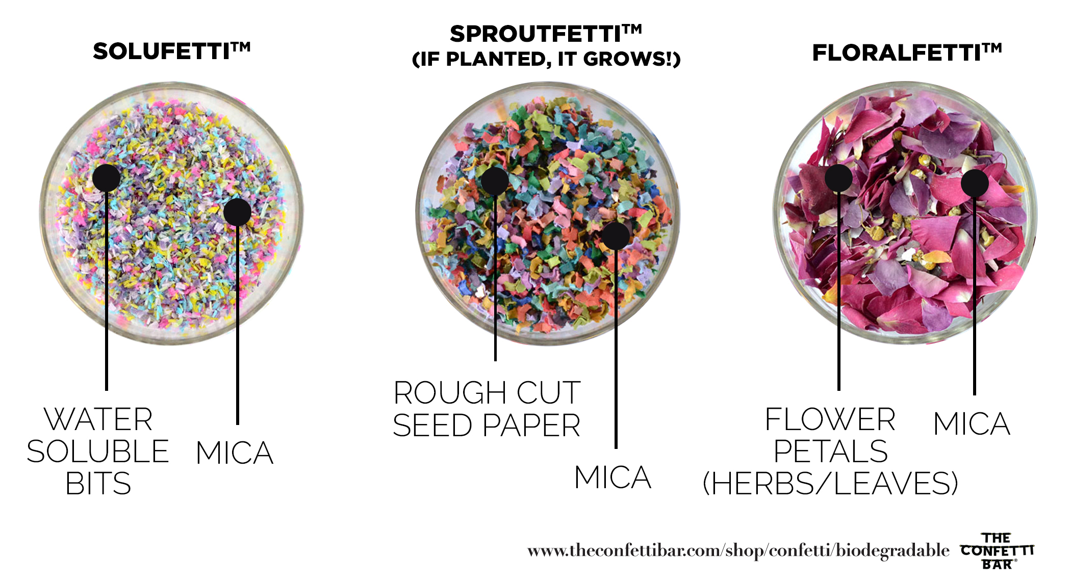 Biodegradable Confetti  Imperfectly Perfect Confetti