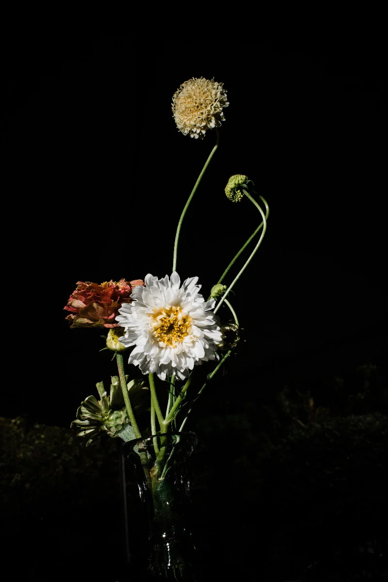 Photo by Corey Torpie Photography
