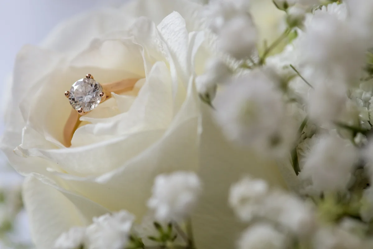 sri lankan wedding in sydney australia engagement ring inside blooming rose