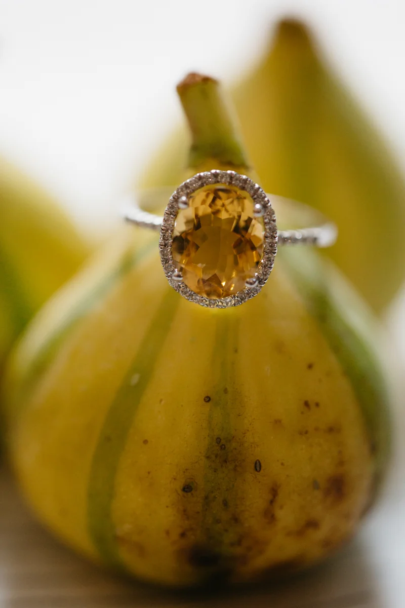 wes anderson inspired wedding styled shoot columbia south carolina ring on gourd stem