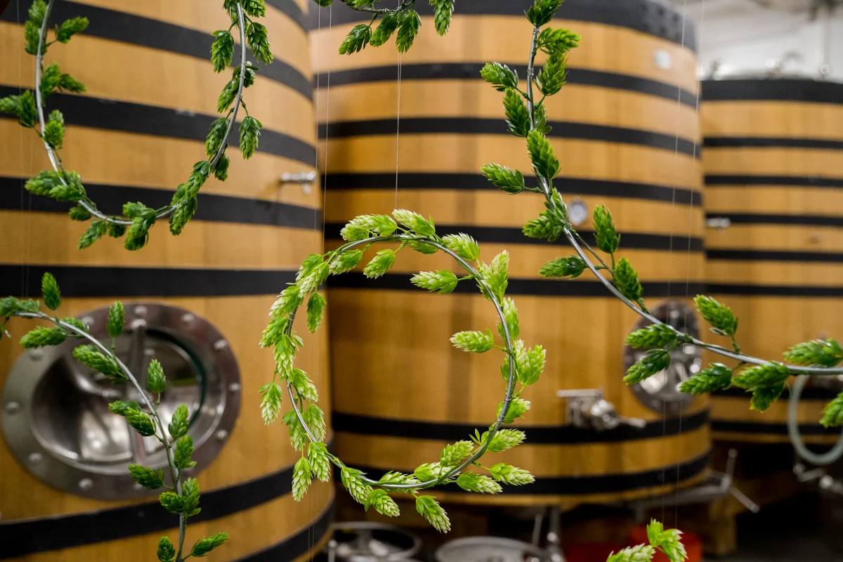 Brewery wedding washington D.C. hopps woven around silver circles, brewing barrels in background