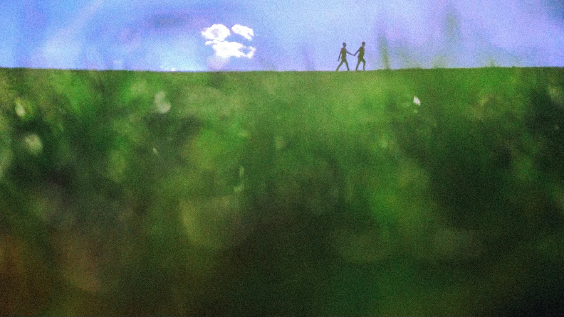 Two people holding hands along a grassy horizon line Pennsylvania Love More Films