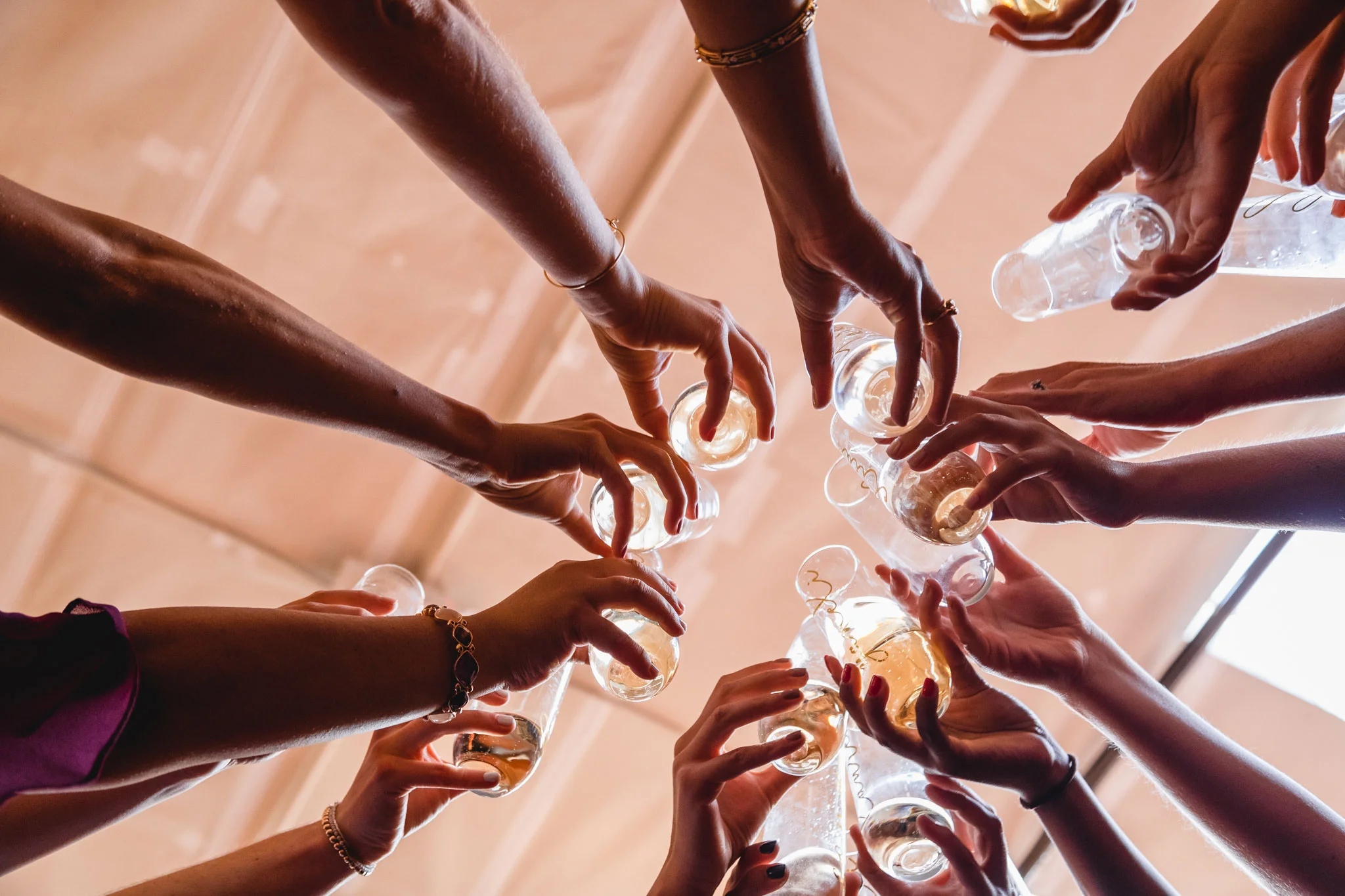 Guests raising their glasses in a toast at wedding reception by Los Angeles Photographer Rebecca y Las Otras