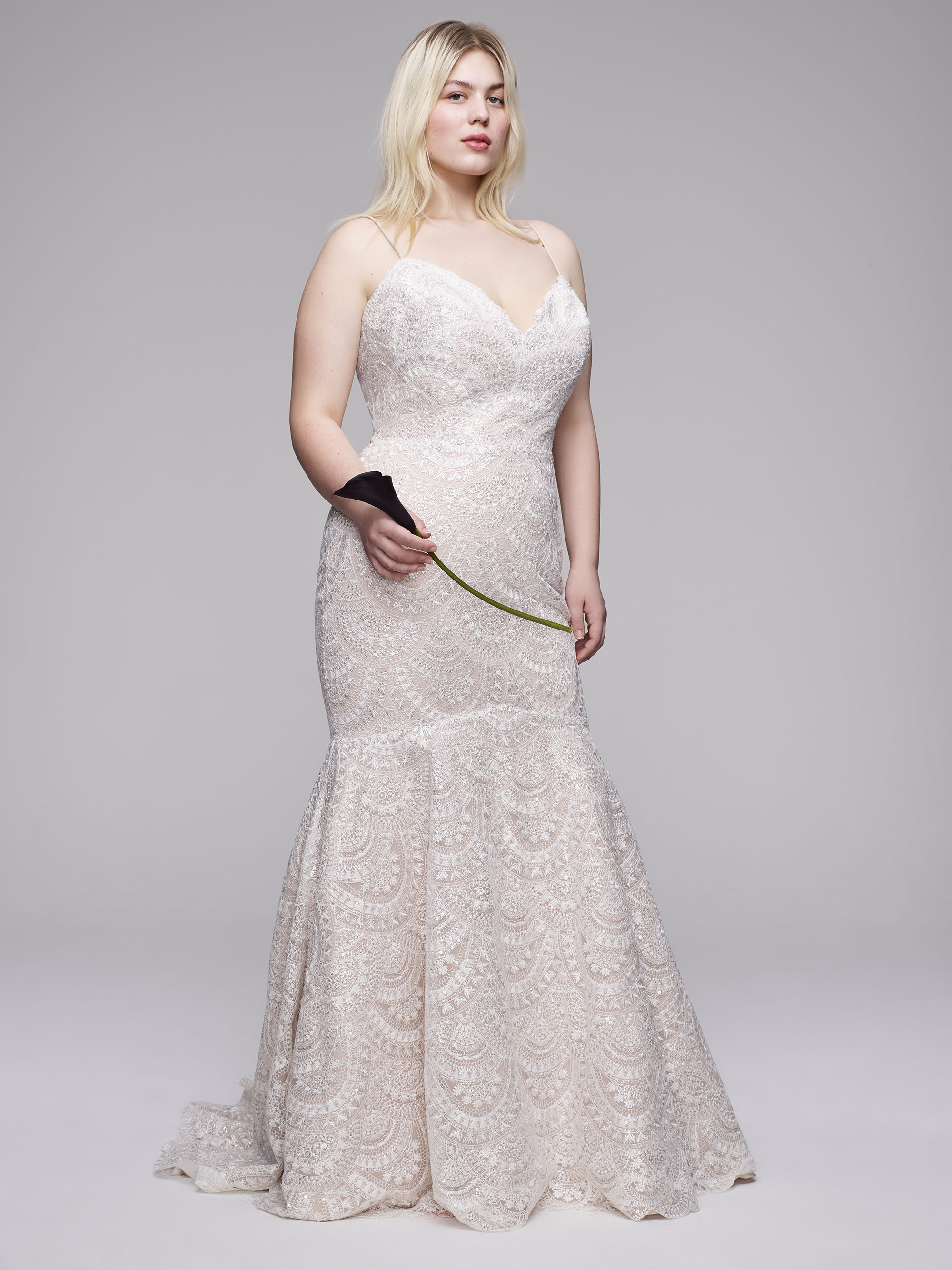 The Zurie Plus Size Wedding gown from Curve Couture by Anne Barge