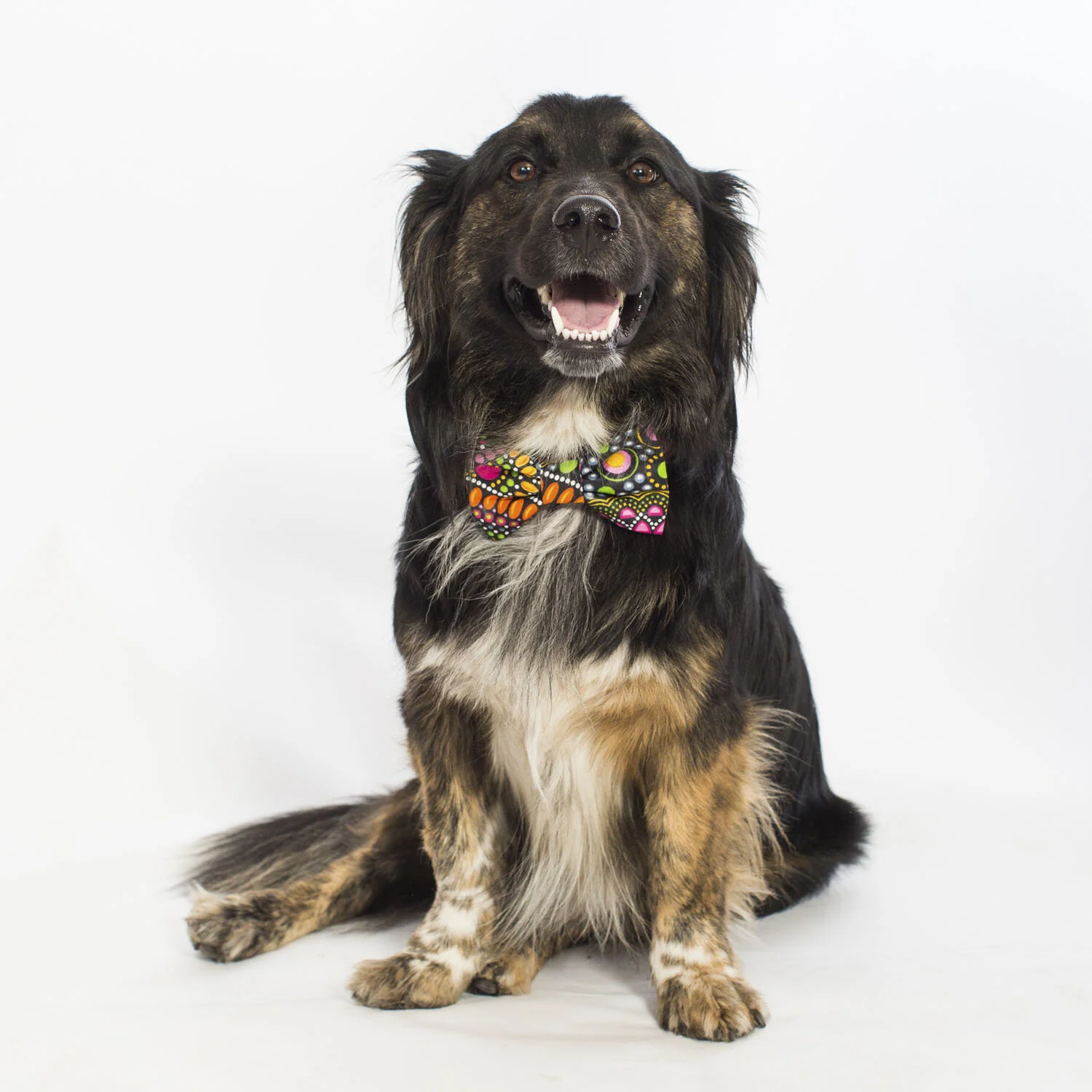 Addie Mannan Photography