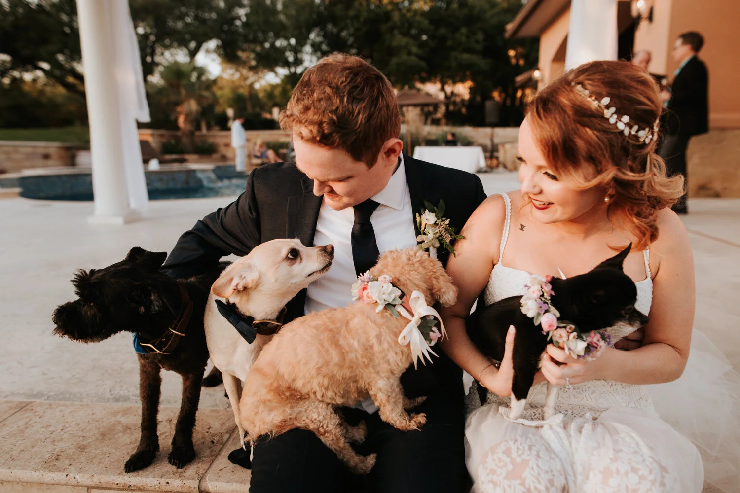 Bride and groom embrace their four pet dogs after ceremony Diana Ascarrunz Austin Wedding Photographer