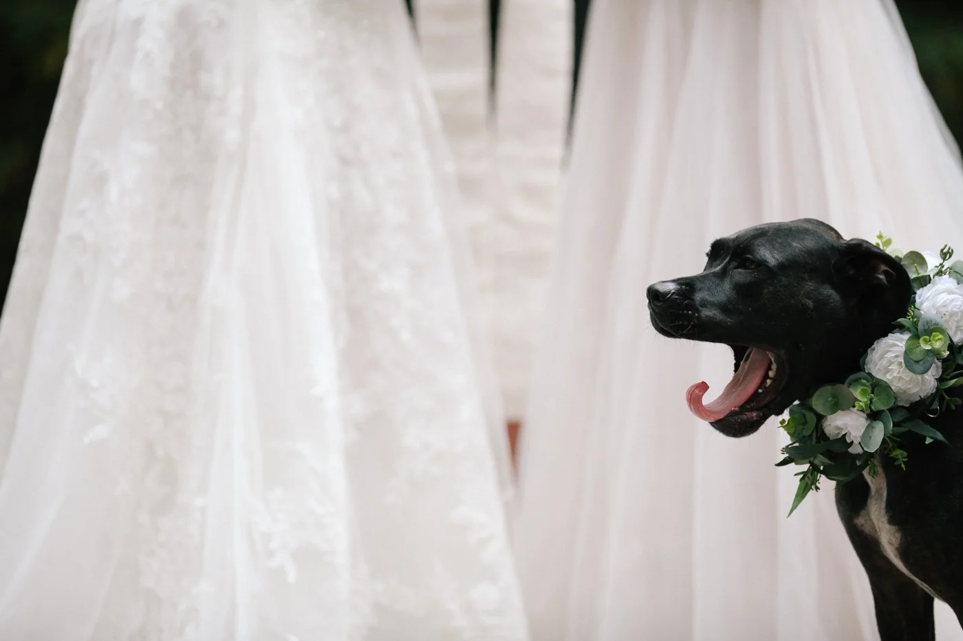 LeahMoyersPhotographyPortfolio161710 Leah Moyers.jpg