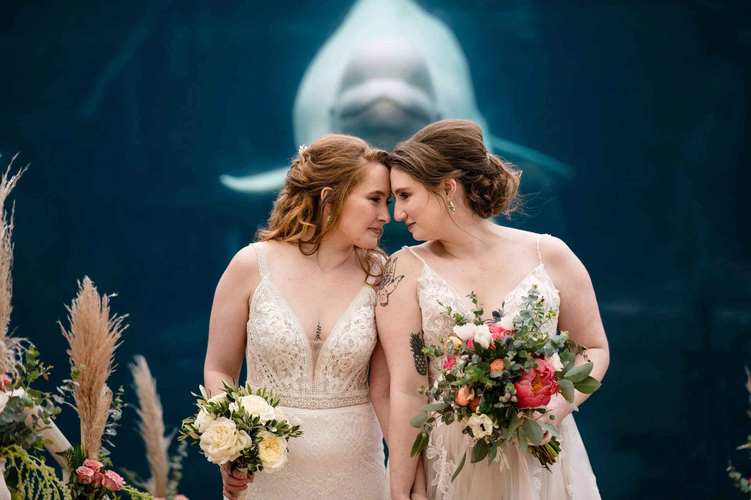 Teresa Johnson Photography