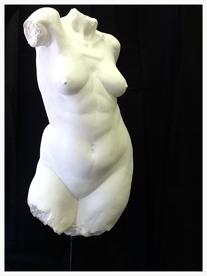 Female Torso