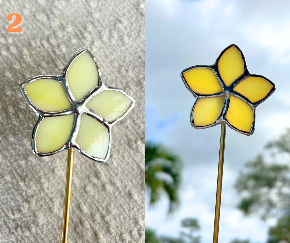 frangipani plant stake.png