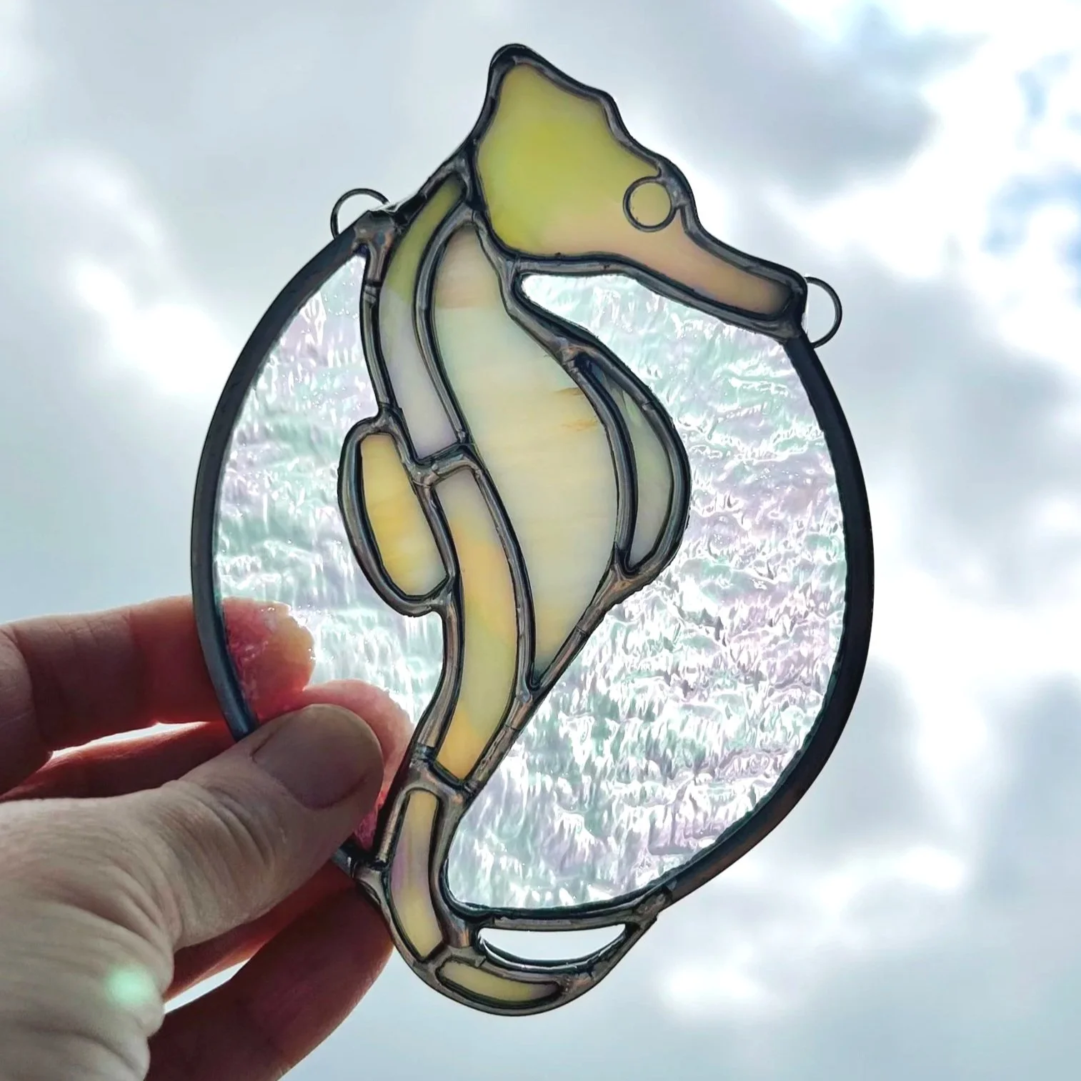 seahorse6.jpg